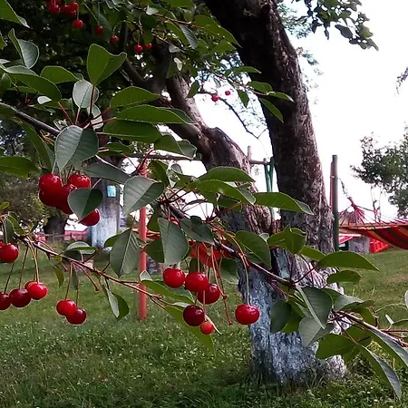 Pensiunea Tabacaru