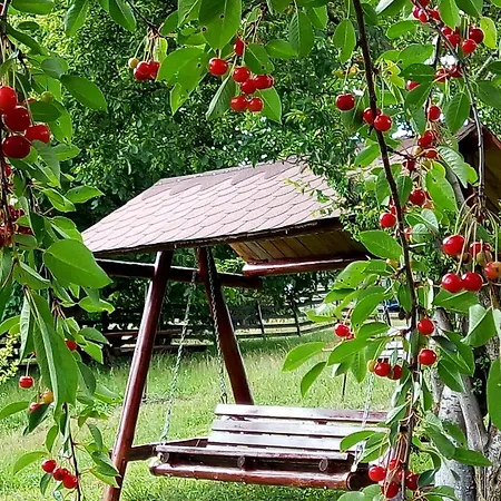 Pensiunea Tabacaru * Peştera